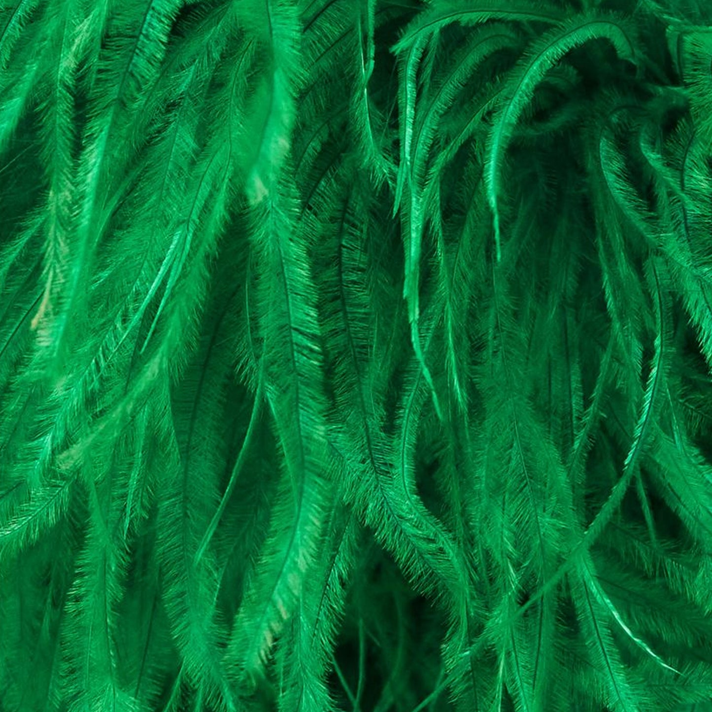 Vestido Plumas